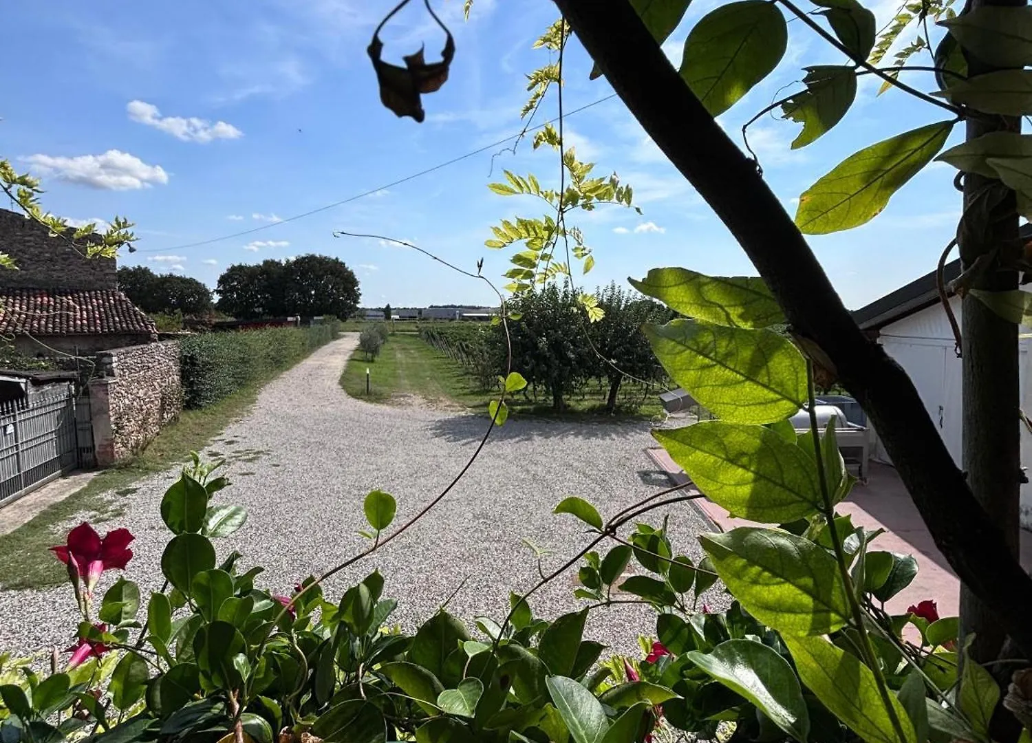 Agriturismo I Mischi Castelnuovo del Garda