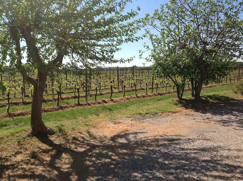 Agriturismo I Mischi Castelnuovo del Garda Feriegård